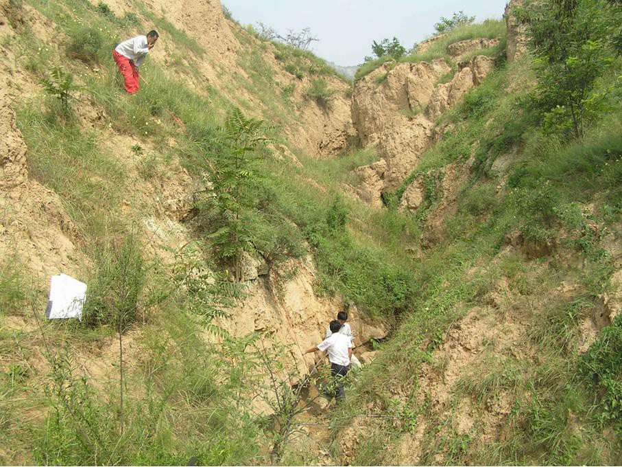 天水市成紀大道工程地質(zhì)災(zāi)害危險性評估
